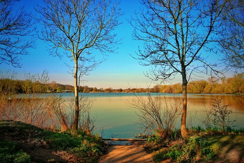 Rickmansworth Aquadrome. Credit: Rebecca Yu/Watford Observer Camera Club