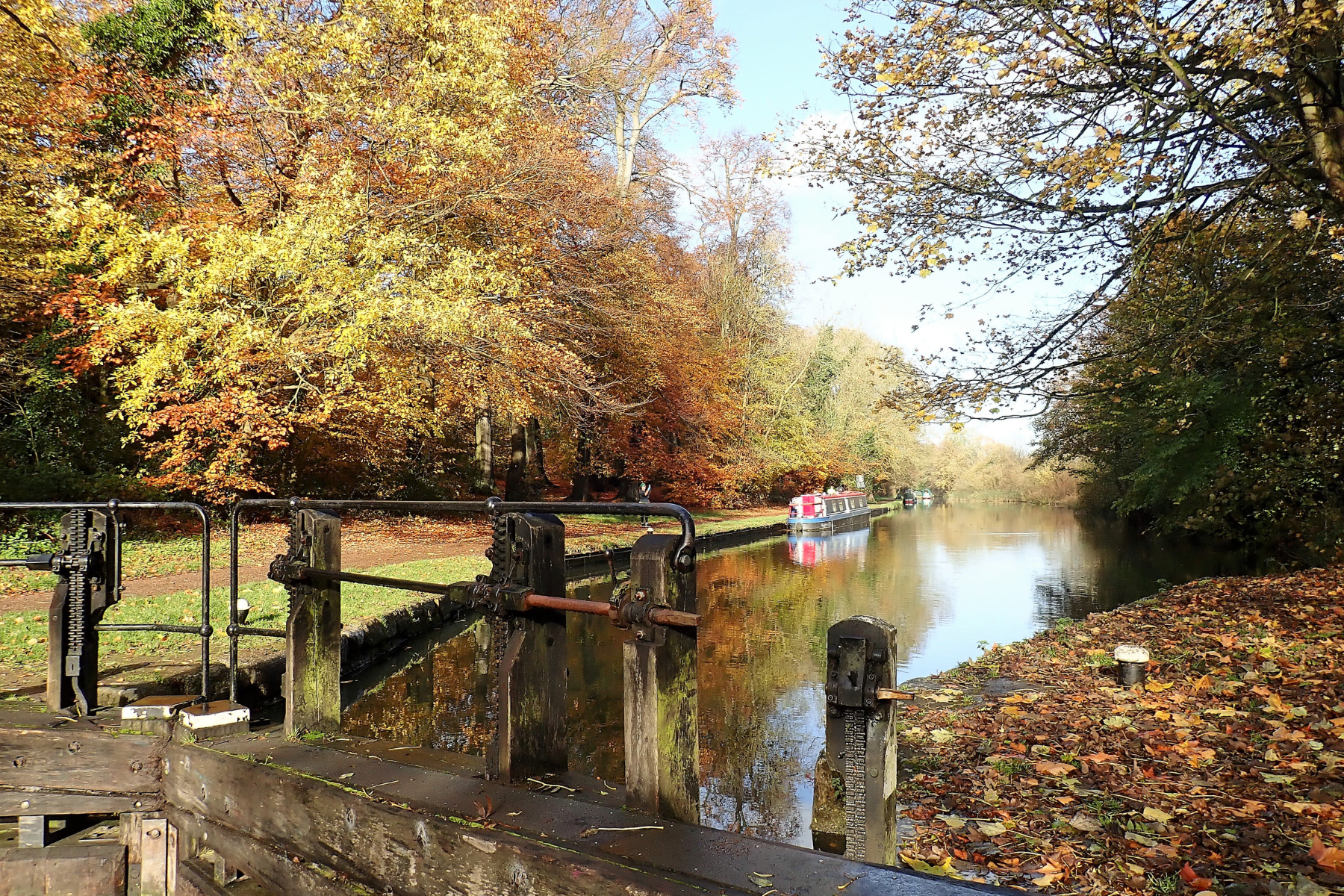 What are the best things about autumn in Watford? Here's what you said