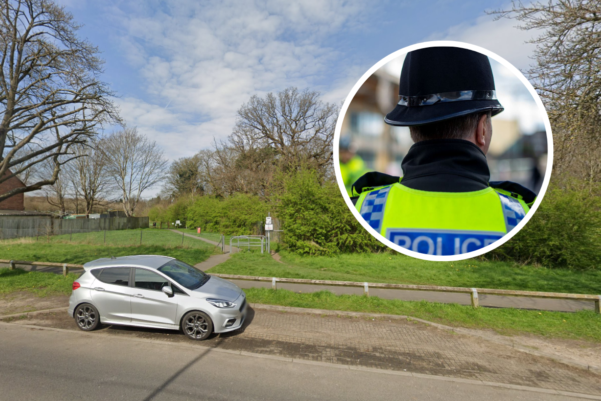 Police confirm 'all was in order' after 'suspicious man' at park report