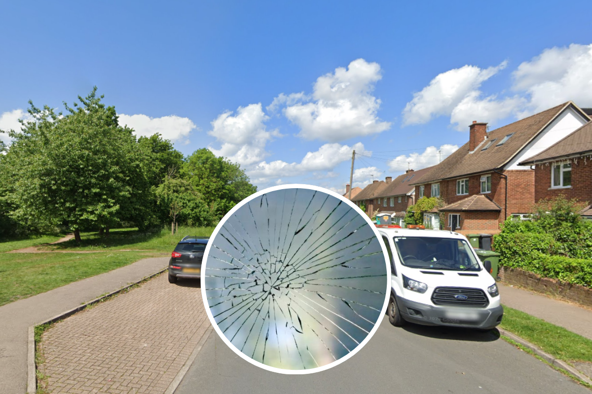 Homes and car windows smashed by stone-throwing yobs