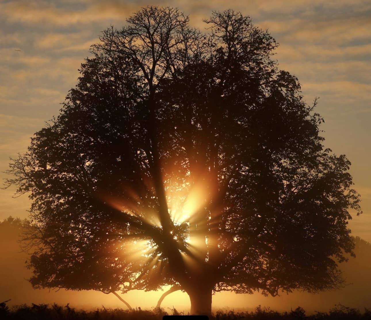 Nine beautiful snaps as autumn makes way for winter