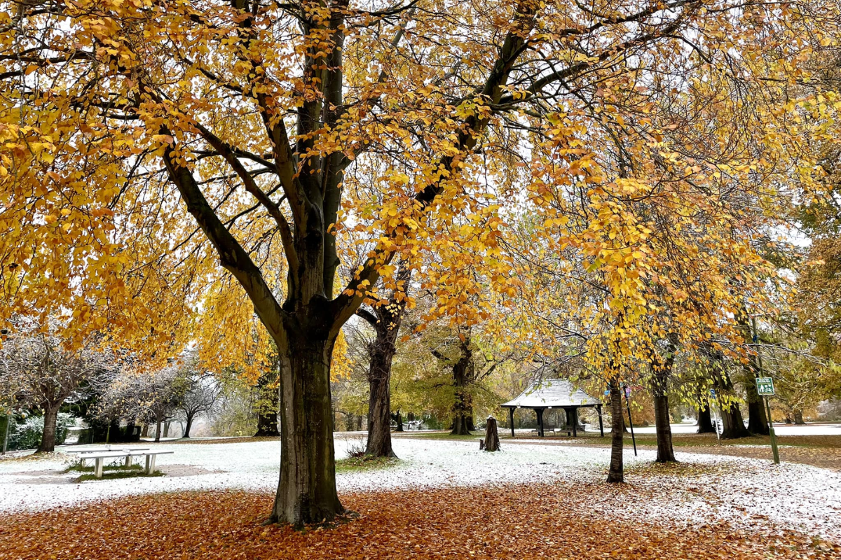 Ice weather warning issued for Hertfordshire - starting 5pm