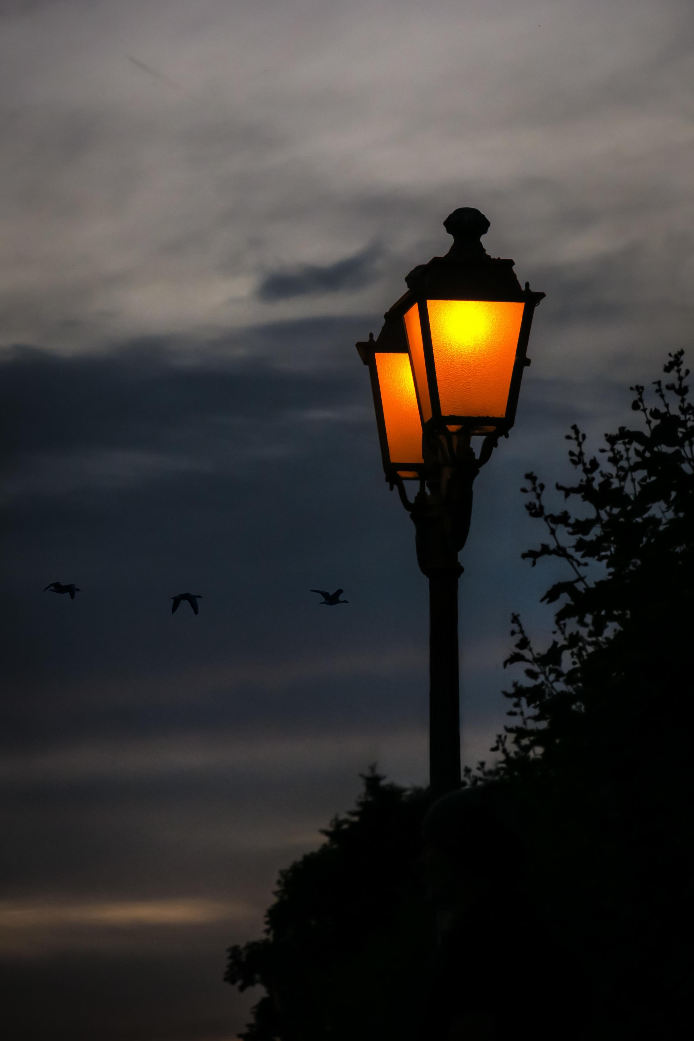 Letter Led Street Lights Are Not Bright Enough Watford Observer